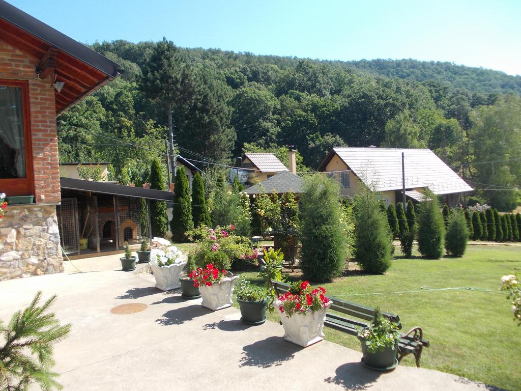 Bed and Breakfast Kuca Za Odmor "Karalic" Ležimir Exterior foto